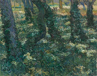 Undergrowth